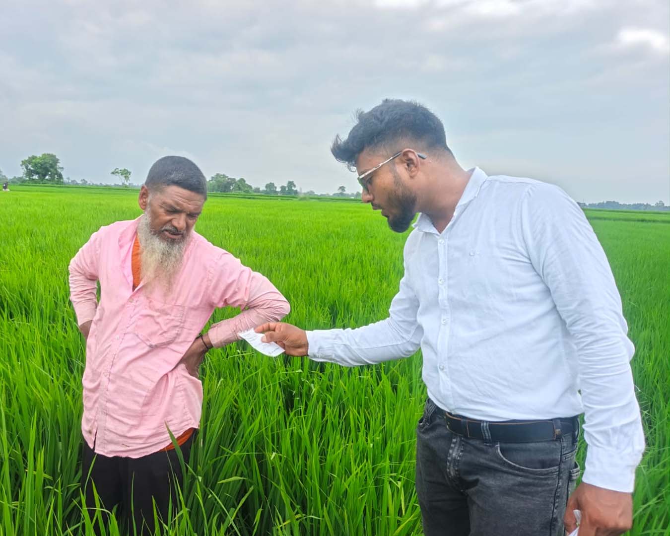 কৃষকের আস্থায় নির্ভরযোগ্য সমাধান